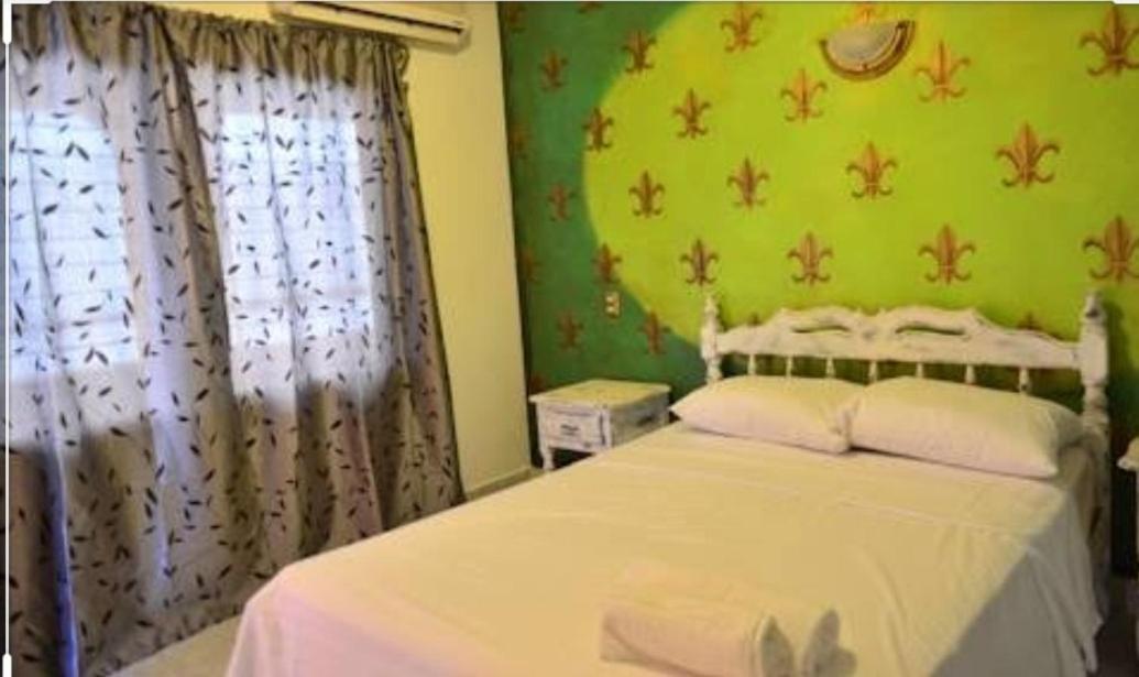 Hotel D Margo Playa del Carmen Esterno foto